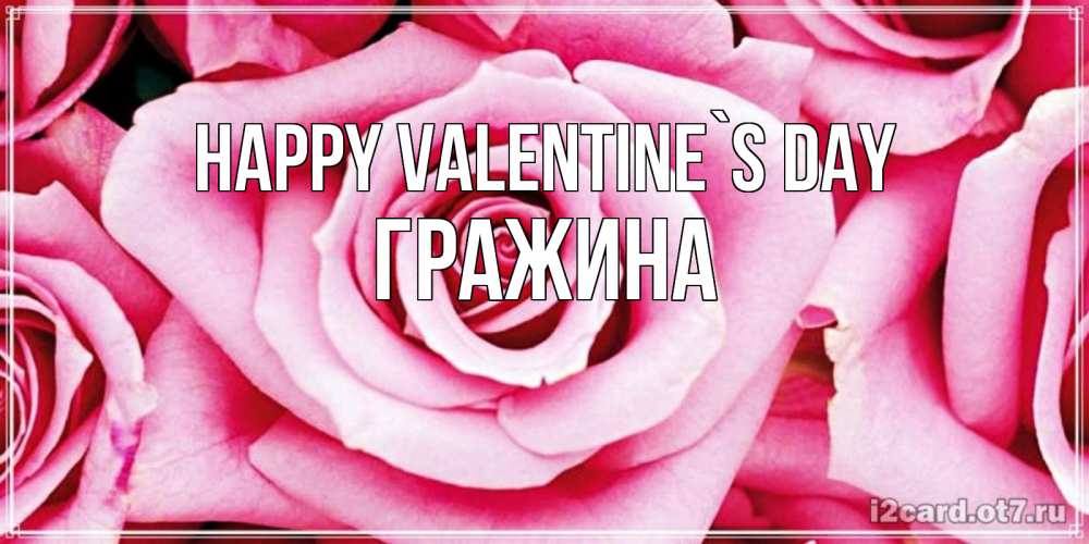 Greetings card с именем, Гражина Happy Valentine`s Day роза розовая на день Святого Валентина Greetings with text for free download 